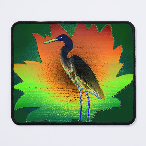Item preview, Florida land of flowers and birds designed and sold by David Lee Thompson.