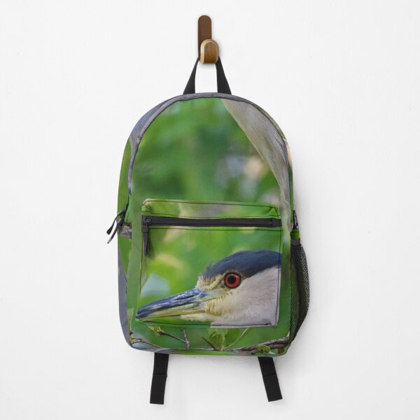 Item preview, The Black-crowned Night Heron at Ding designed and sold by Michiale.