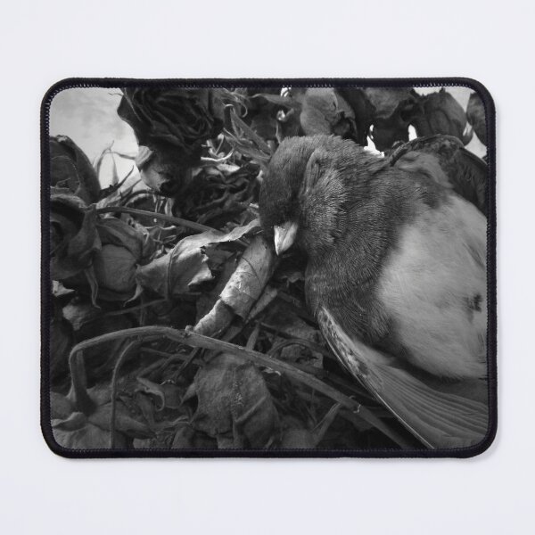 Item preview, A Song That Loneliness Taught Me designed and sold by Gregory James Wyrick.