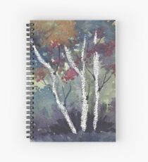 The Dark Forest Spiral Notebook