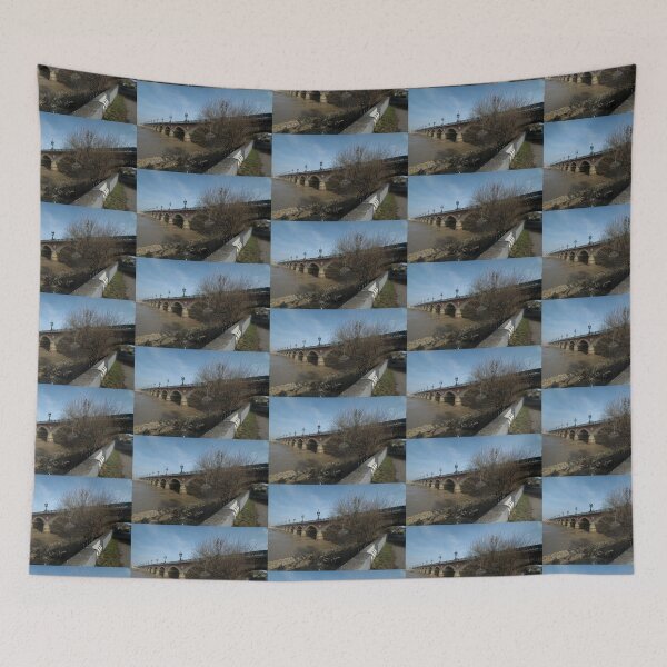 Item preview, Pont De Pierre, Bordeaux, France, Europe 2012 designed and sold by muz2142.