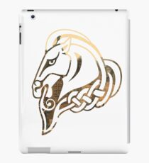 Whiterun iPad Case/Skin