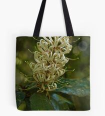Springbrook 1 Tote Bag