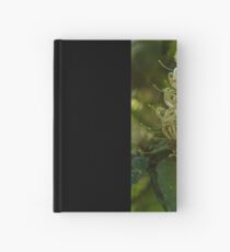 Springbrook 1 Hardcover Journal