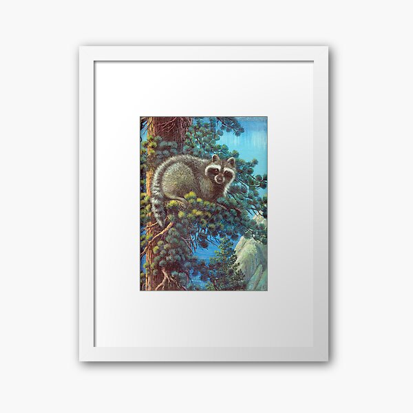 Treed Raccoon Lake Tahoe Framed Art Print