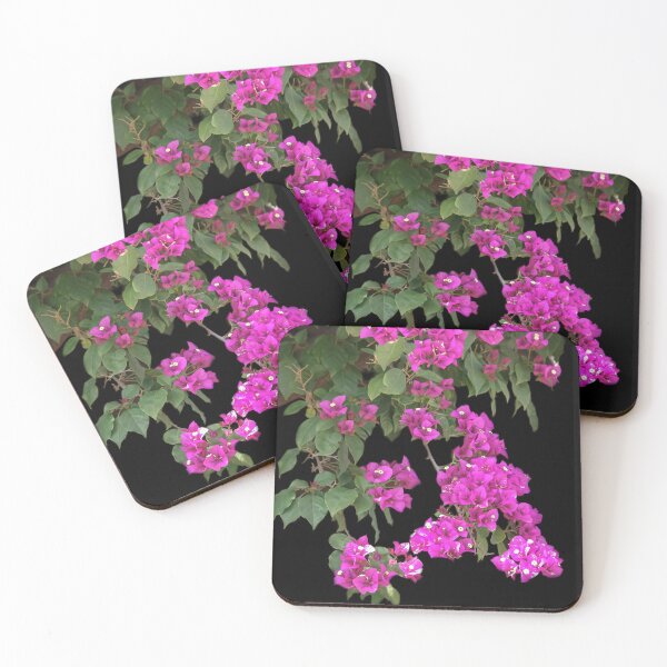 Item preview, The Beauty of Bougainvillea designed and sold by heatherfriedman.