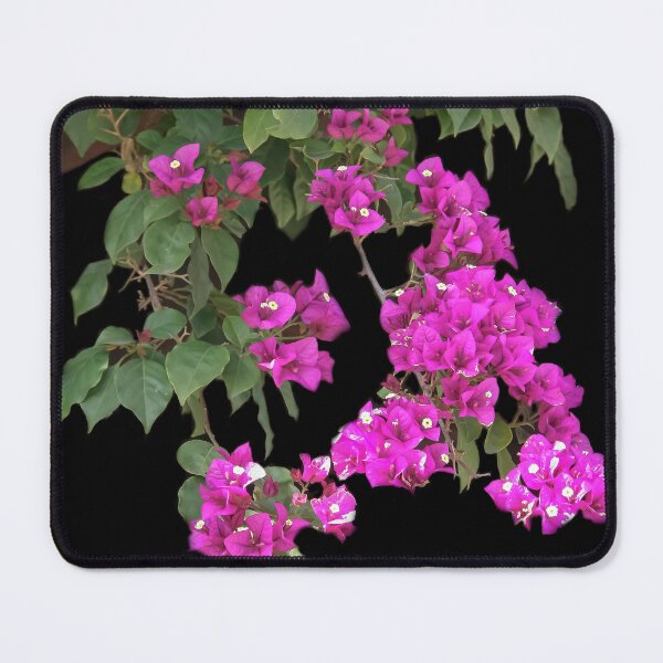 Item preview, The Beauty of Bougainvillea designed and sold by heatherfriedman.