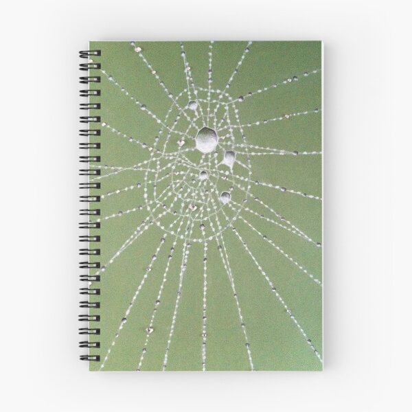 Item preview, spider-web designed and sold by Sombre collection.