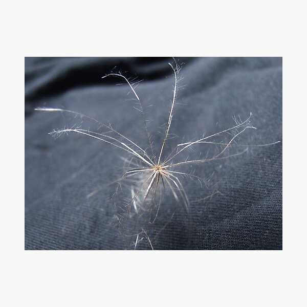 Item preview, A wish  designed and sold by Paul  Henderson Smith.