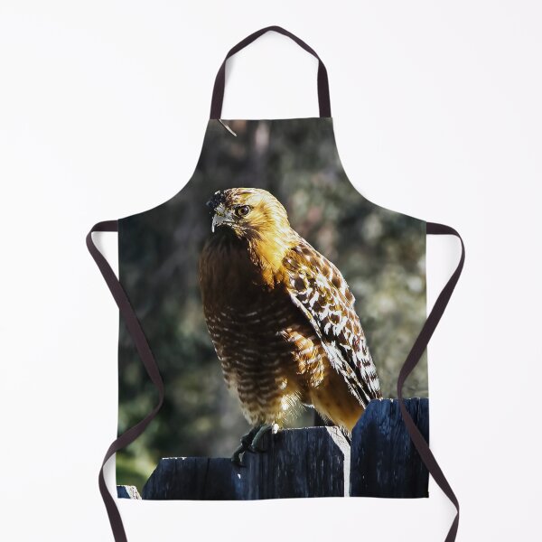 Item preview, Young Red Tailed Hawk designed and sold by heatherfriedman.