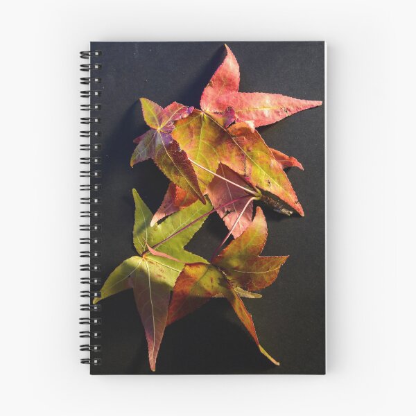 Item preview, Autumn Leaves 1 designed and sold by Werner Padarin.