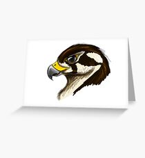 Prairie Falcon Bust Greeting Card