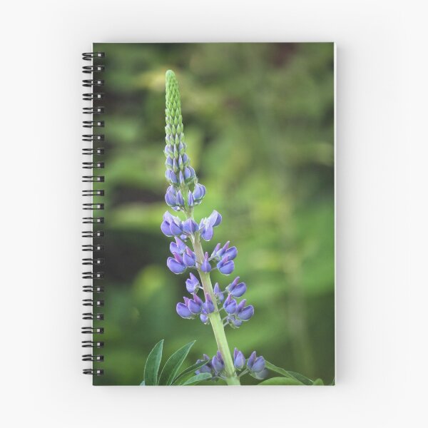 Item preview, Luscious Lupin designed and sold by Tracy Friesen.