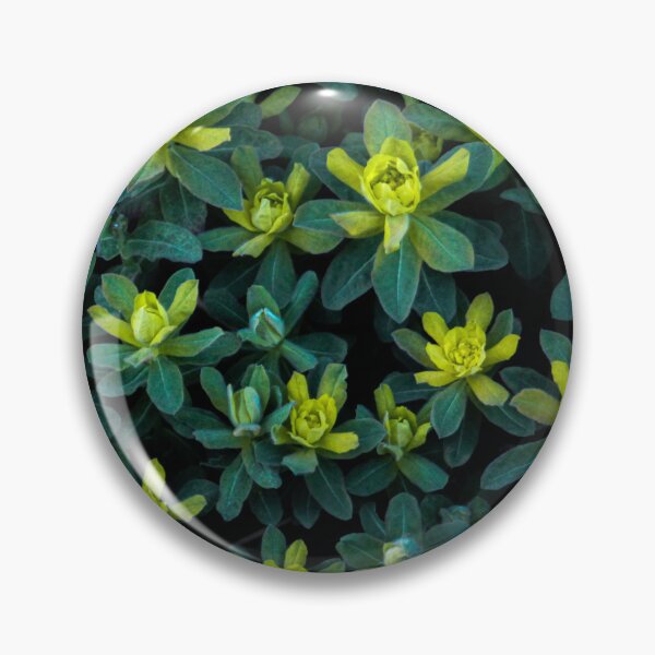 Item preview, H0224 Green Plant designed and sold by photographyemd.