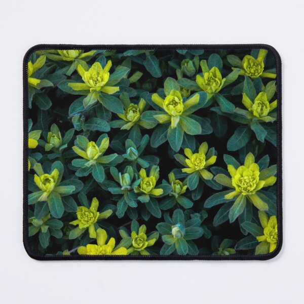 Item preview, H0224 Green Plant designed and sold by photographyemd.
