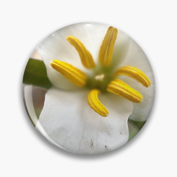 Item preview, Trillium designed and sold by Jason Tompkins.