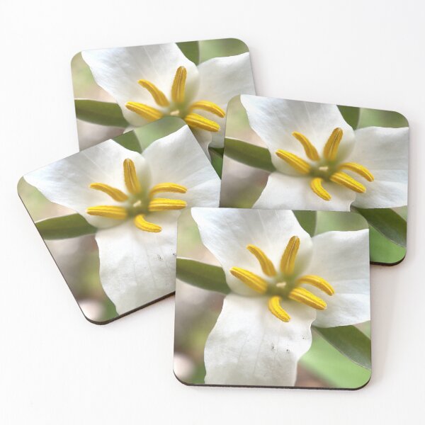 Item preview, Trillium designed and sold by Jason Tompkins.
