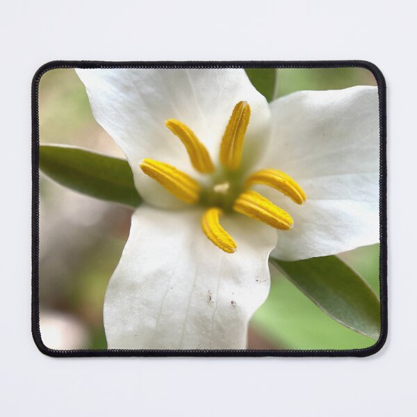 Item preview, Trillium designed and sold by Jason Tompkins.