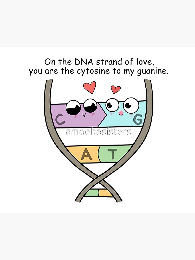 DNA Strand of Love by amoebasisters