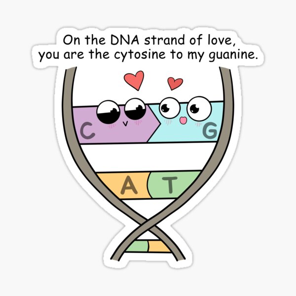 Item preview, DNA Strand of Love designed and sold by The Amoeba Sisters Official Merch Shop.