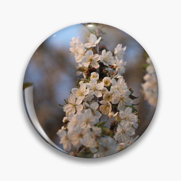 Artikelvorschau, H0226 Cherry Blossom entworfen und verkauft von photographyemd.