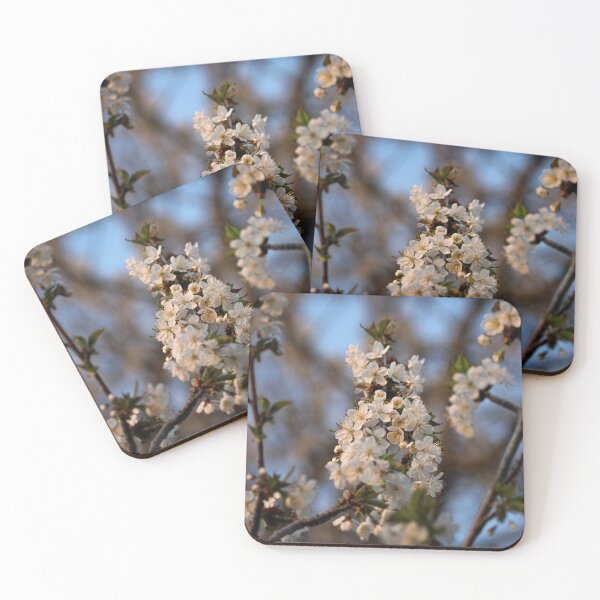 Item preview, H0226 Cherry Blossom designed and sold by photographyemd.