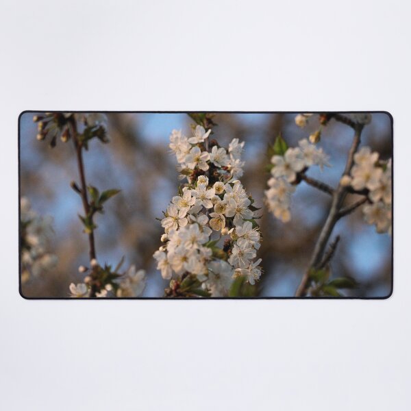 Item preview, H0226 Cherry Blossom designed and sold by photographyemd.