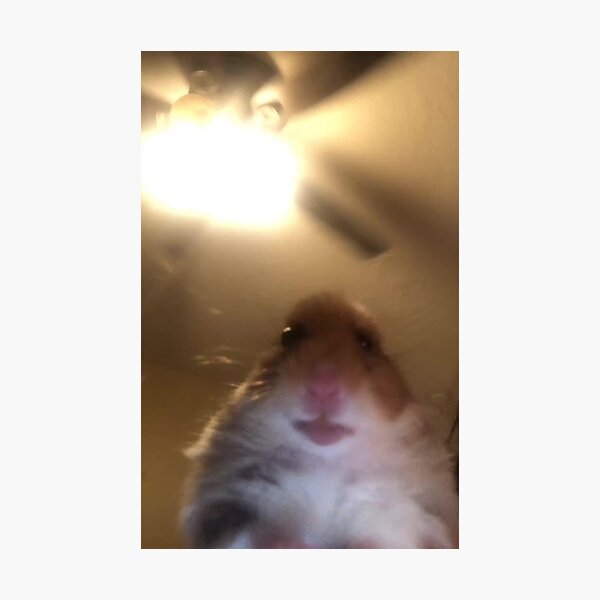 My Image 29
