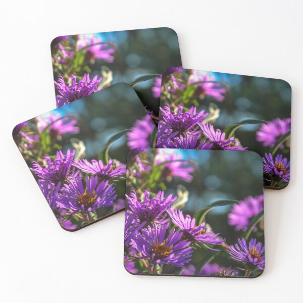 Item preview, H0229 New England Aster designed and sold by photographyemd.