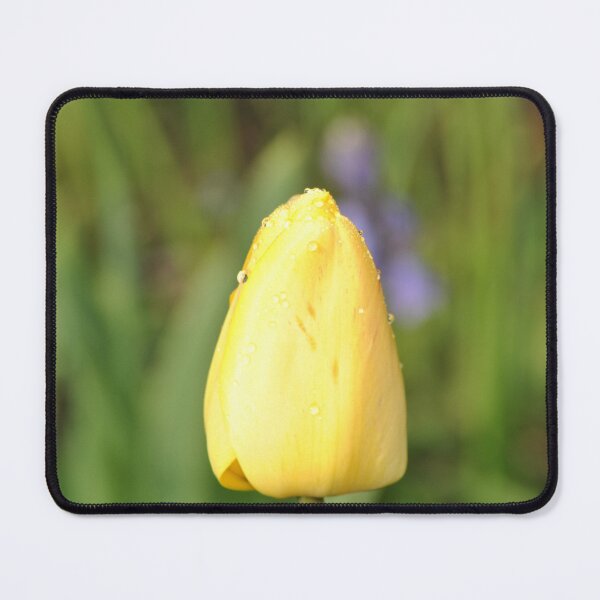 Item preview, Yellow Tulip with Dew designed and sold by joelbakken39.
