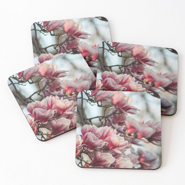 Item preview, V0033 Magnolia Blooms designed and sold by photographyemd.