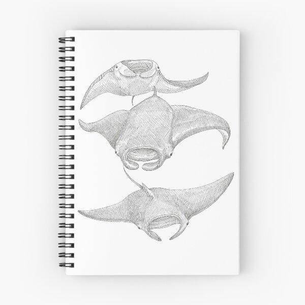 Item preview, Three Manta rays designed and sold by WordMagpie.