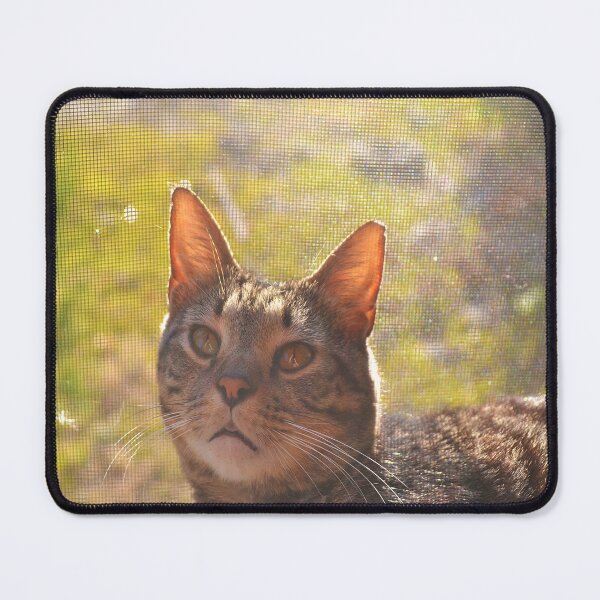 Item preview, Blep designed and sold by Danielle Hunter.