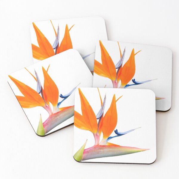 Item preview, Bird of paradise flower isolated on white. designed and sold by Brian Scantlebury.