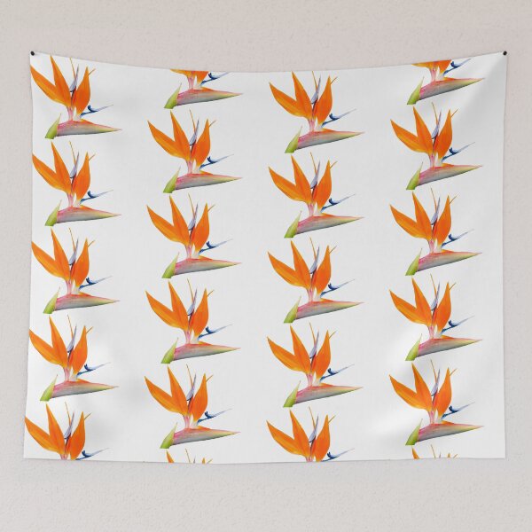 Item preview, Bird of paradise flower isolated on white. designed and sold by Brian Scantlebury.