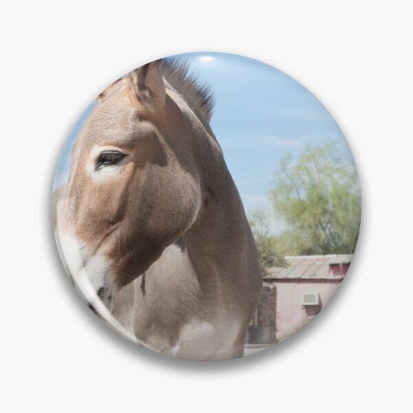 Item preview, Oatman donkey in main street of small old ghost town on Route 66. designed and sold by Brian Scantlebury.