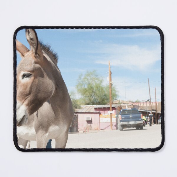 Item preview, Oatman donkey in main street of small old ghost town on Route 66. designed and sold by Brian Scantlebury.