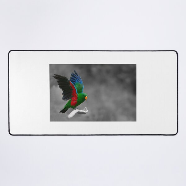 Item preview, Beautiful brightly coloured Eclectus parrot designed and sold by Brian Scantlebury.