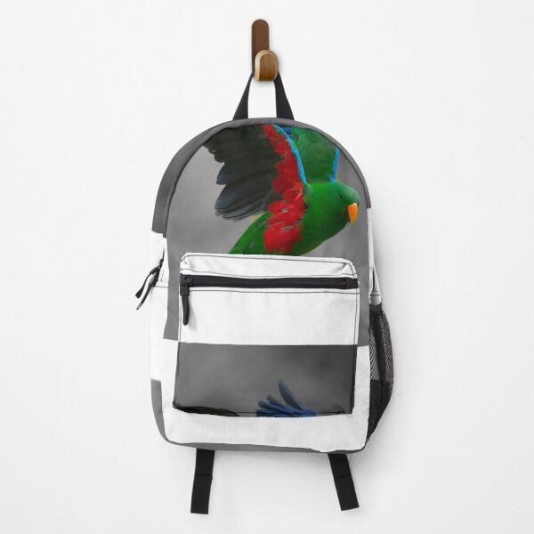 Item preview, Beautiful brightly coloured Eclectus parrot designed and sold by Brian Scantlebury.