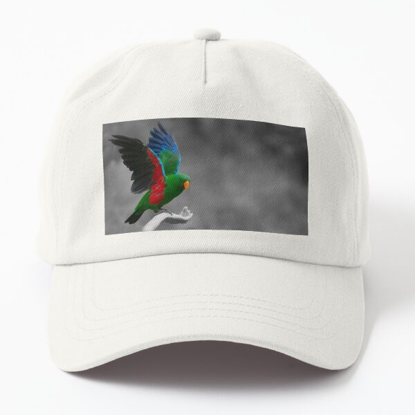 Artikel-Vorschau von Wunderschöner bunter Eclectus-Papagei, designt und verkauft von Brian Scantlebury.