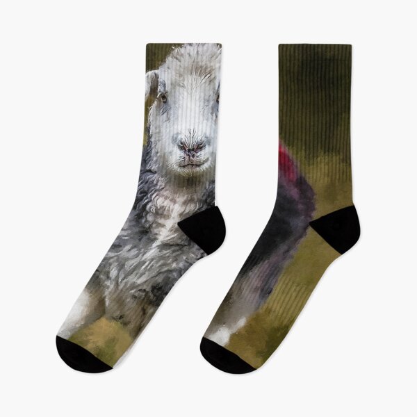 Item preview, Herdwick Sheep Art, Herdwick Sheep Oil Paint, Grey And White Herdwick Sheep, Fluffy UK Herdwicks Sheep designed and sold by Trendymotion.