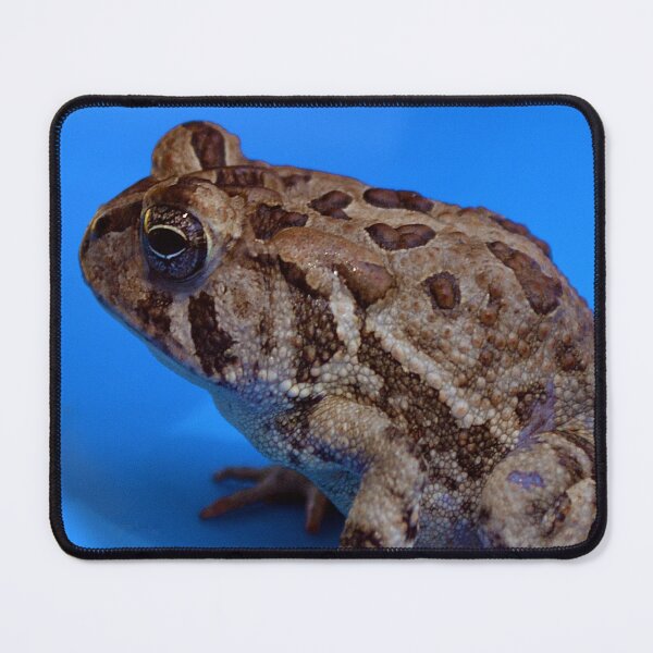 Item preview, "Bumpy" designed and sold by Danielle Hunter.