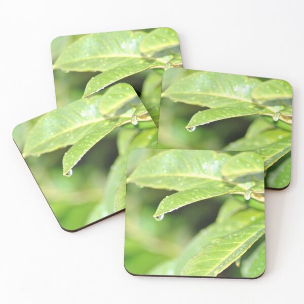 Item preview, Raindrops on leaves designed and sold by joelbakken39.