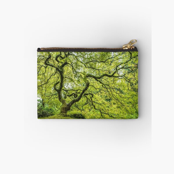 Item preview, The World's Most Photographed Maple Tree designed and sold by gappman.