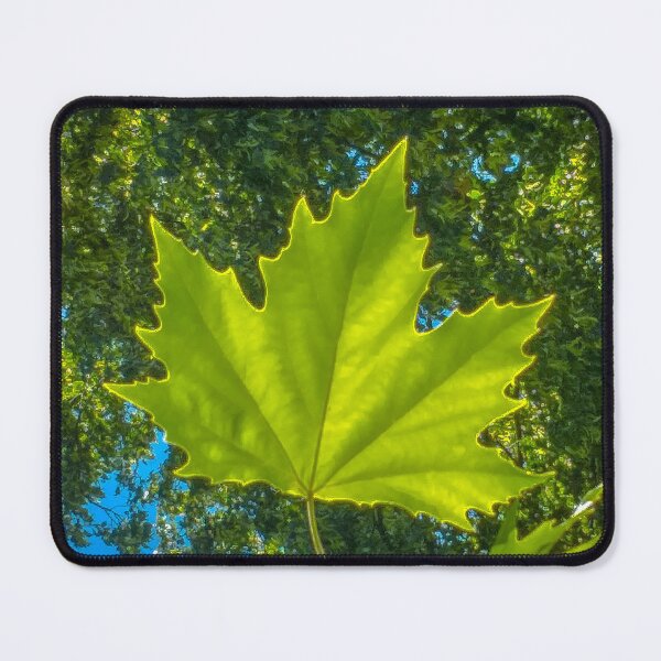 Item preview, The Maple Leaf in Victory Park designed and sold by Steven Jodoin.