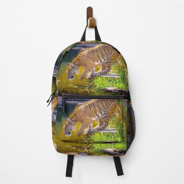 Item preview, Tiger Heading for a Swim designed and sold by Steven Jodoin.