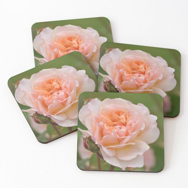 Item preview, Raindrops on Roses... designed and sold by joelbakken39.