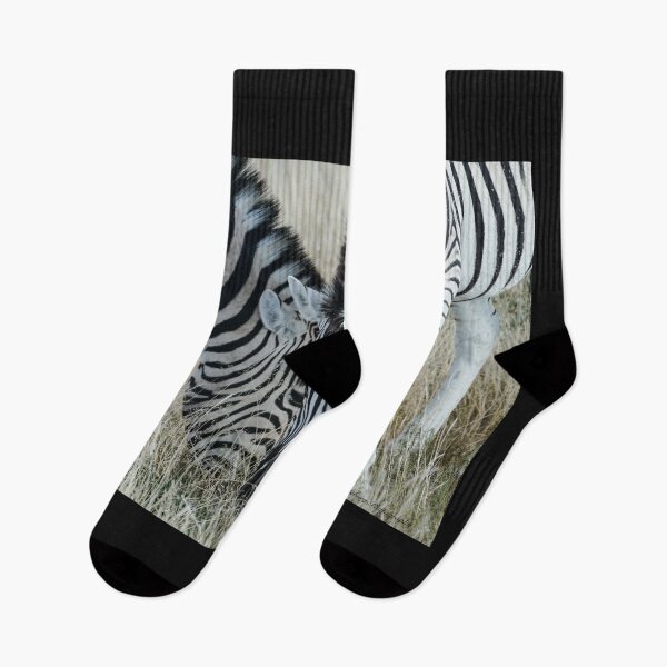 Item preview, Grazing zebra on African plains designed and sold by Brian Scantlebury.