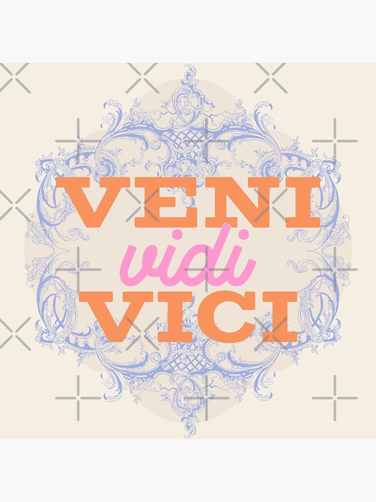 veni vidi vici quote | Art Print