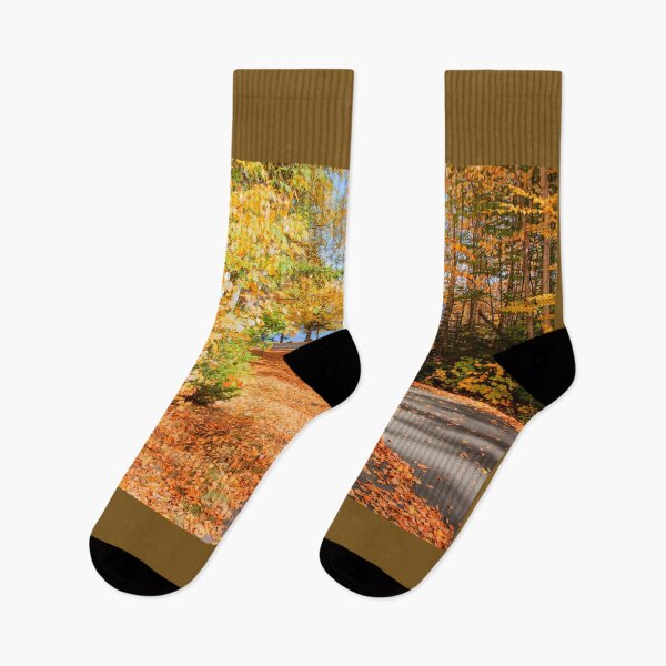 Item preview, Fall colors, New England. designed and sold by Brian Scantlebury.
